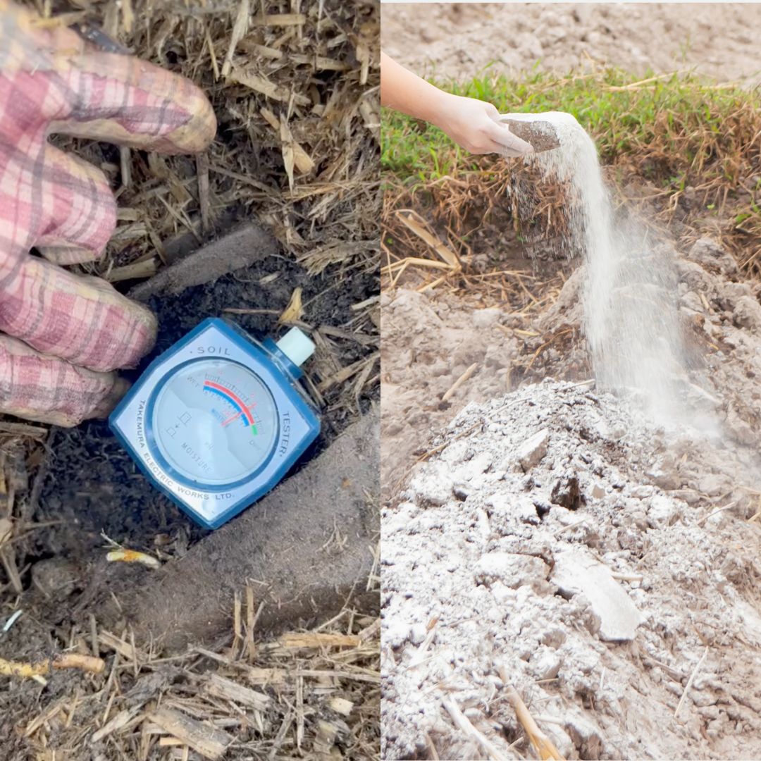 DIRVOŽEMIO RŪGŠTINGUMAS IR NURŪGŠTINIMAS