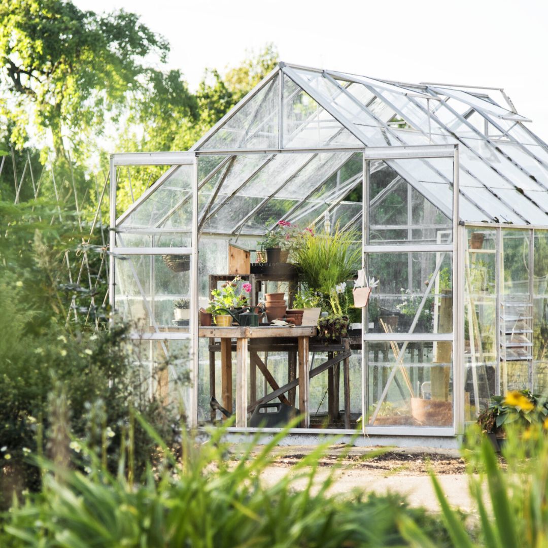 ŠILTNAMIO IR DIRVOŽEMIO DEZINFEKCIJA