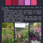 El. knyga "Sąmoningo sodo kūrimas"