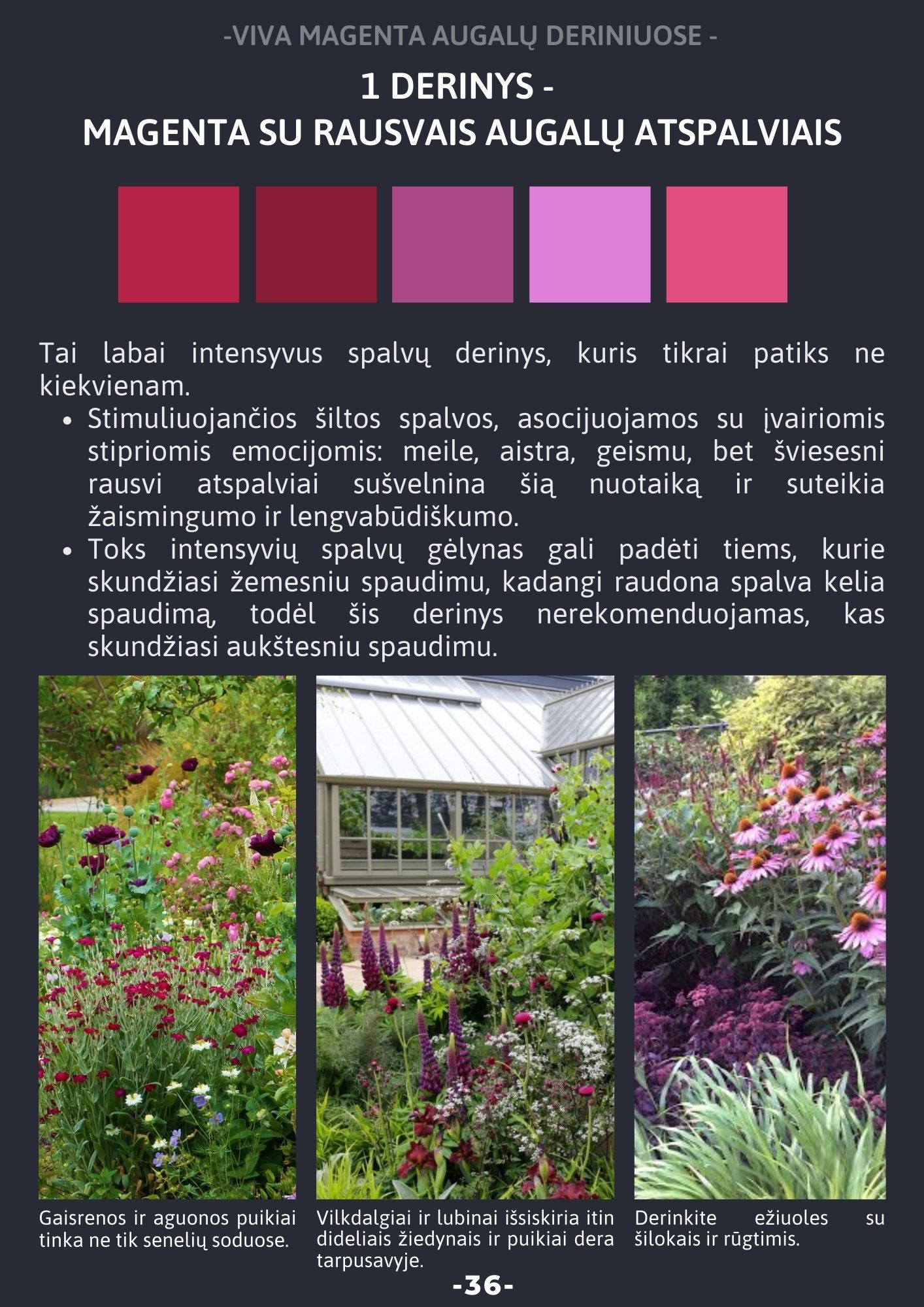 El. knyga "Sąmoningo sodo kūrimas"