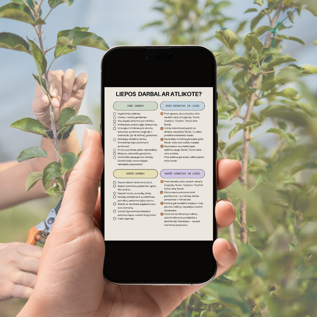 Darbai sode, darže ir gėlyne kiekvieną mėnesį