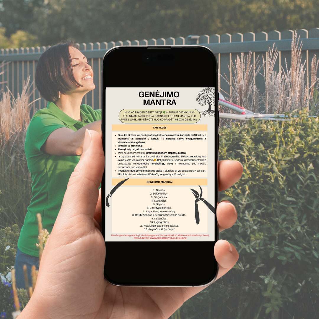 Svogūninių gėlių sodinimas, dekoratyvinių augalų genėjimas ir mantra