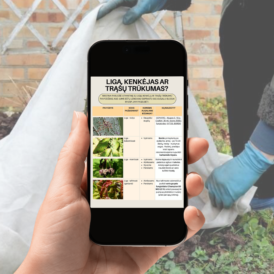 Apsauga nuo šalčio, gyvūnų, sniego panaudojimas. Ligos, kenkėjai ar trūksta trąšų?