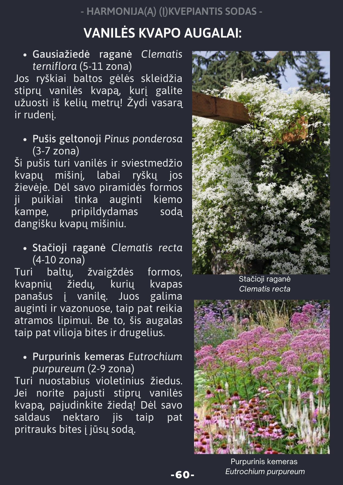 El. knyga "Sąmoningo sodo kūrimas"