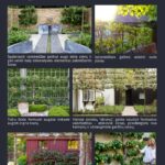 El. knyga "Sąmoningo sodo kūrimas"