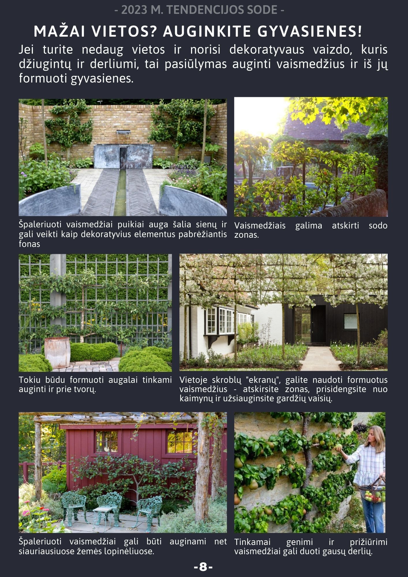 El. knyga "Sąmoningo sodo kūrimas"