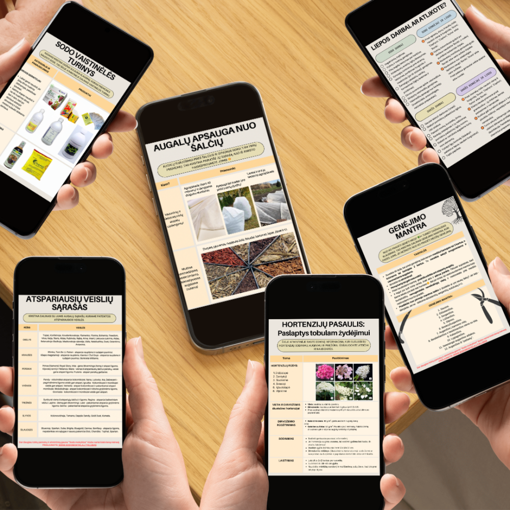 ATMINTINIŲ RINKINYS: METŲ DARBAI, ALELOPATIJA, PURŠKIMAS, GENĖJIMAS, LIGOS, HORTENZIJOS