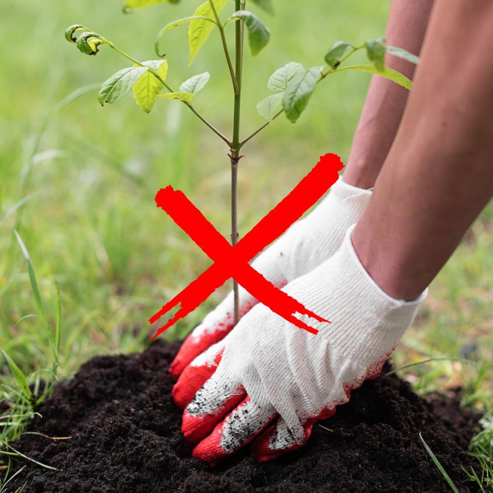 SODINIMO PATARIMAI IR KLAIDOS